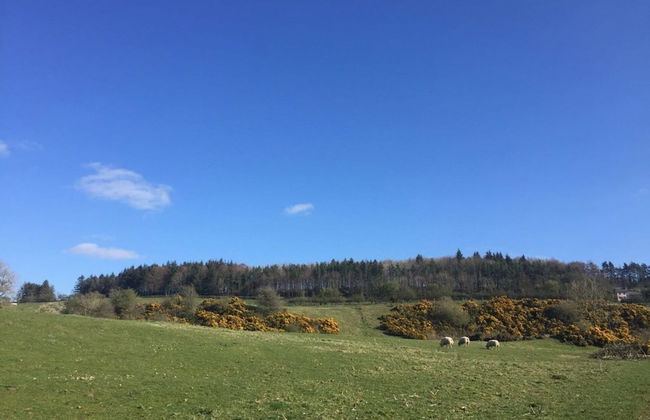 Stunning 1-bed Annex in Hawick - Photo 16
