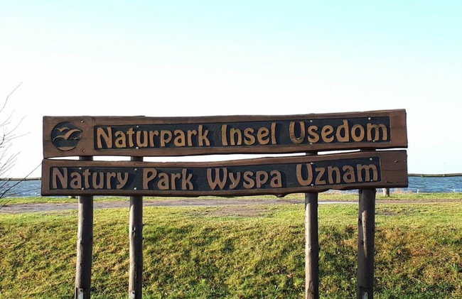 08 am Haff Modern Retreat - Foto 6