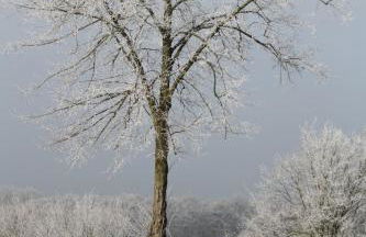 Reethus Stöfs - Foto 15