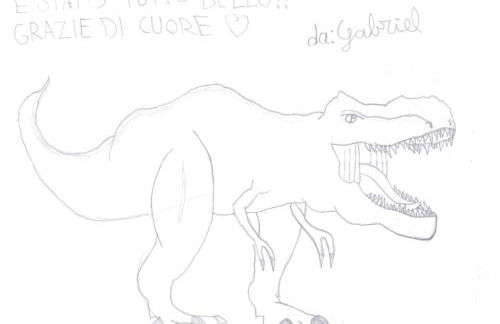 Regolo Rent - Foto 17