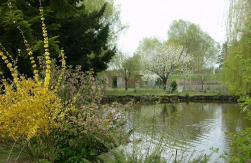 Maison de charme avec piscine partagée à Contres - FR-1-491-465 - Photo 11