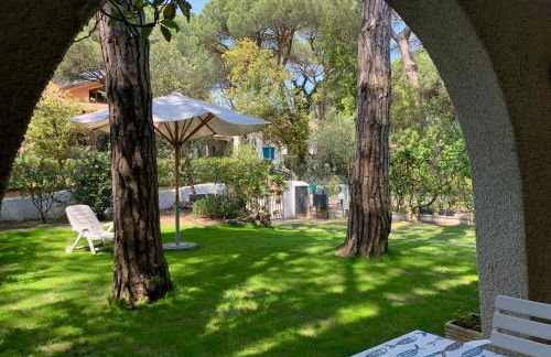 Apartment Casa delle Palme by Interhome - Photo 4