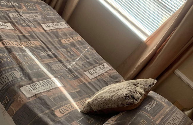 2 Bed Flat - Sleeps 3 - Parking - Wifi - Foto 2