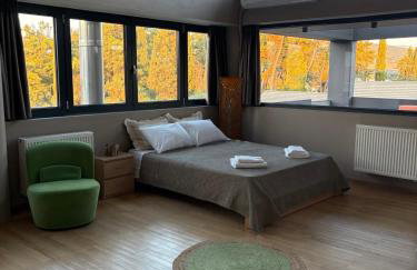 Lofos Studio - Foto 12