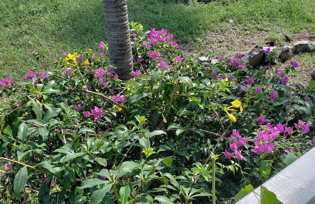 Harbour Island Residences - Photo 10