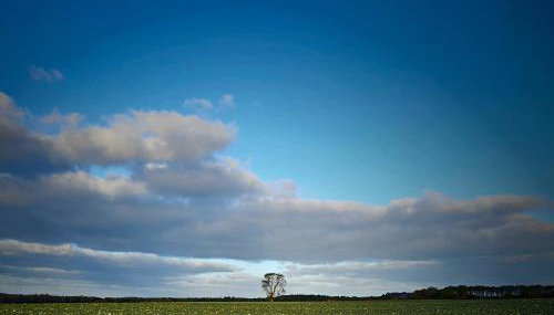 The Bonnie Wee Bothy - Foto 2