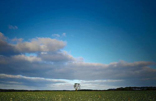 The Bonnie Wee Bothy - Foto 2