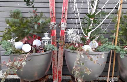 La Loge du Pic Noir - Photo 22