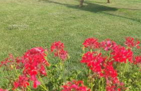 Highlight Apartments - Foto 63