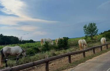 Studio mi casa es su casa - Photo 23