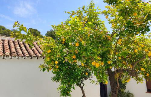 Casa el Patio del Limón, con piscina - Foto 10