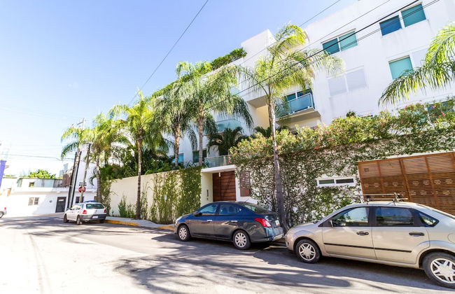 La Papaya Plus 303 by Vimex - Foto 20