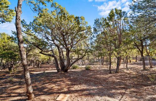Breathtaking Cabin Backing the National Forest - Foto 66