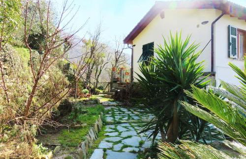 casa di arya CODICE CITRA LT-0043 - Foto 1