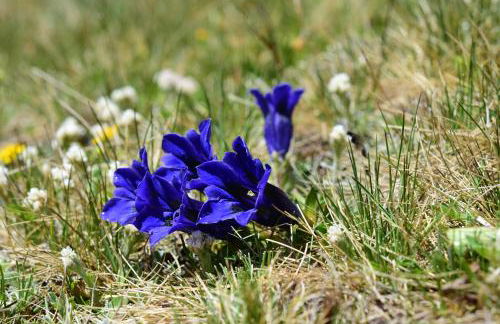 Residence Bonetti - Foto 73