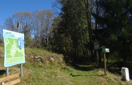 Wohnung Mitterdorf - Foto 31