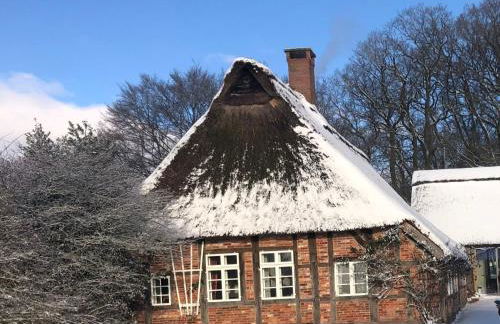 Holiday Home Reethuus by Interhome - Foto 1