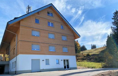 Wiesenquell Apartment Feldberg - Foto 31