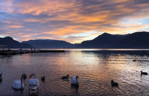 Bellavista Giulia on Lake Como - Foto 106