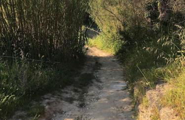 Appartamento tra sole, mare e natura - Foto 39