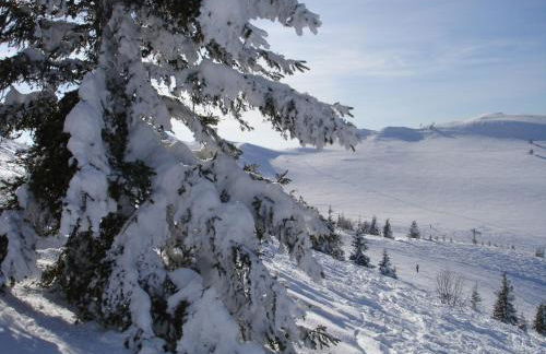 Les Curtillets - Foto 32