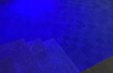 las camelias - Foto 15