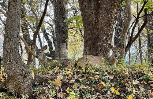 Boji Cottage off West Lake Okoboji - Foto 5