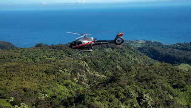 Flying over the rainforest
