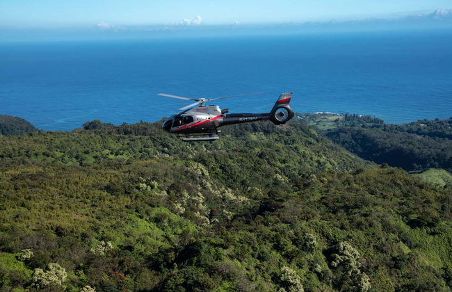 Hana Rainforest Helicopter Ride - Foto 2