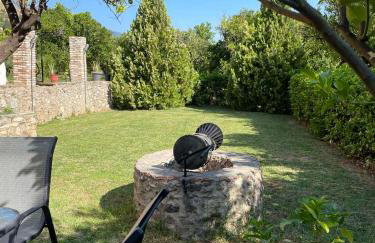 Portokalia - Foto 10