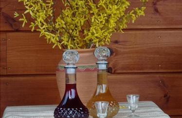 Agroturystyka Przy Siole Budy - Foto 10