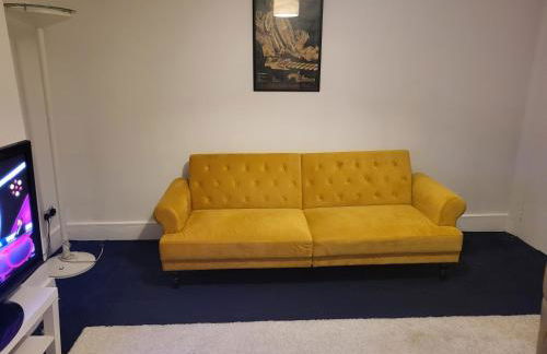 Oval Cricket Ground walking distance - Foto 21