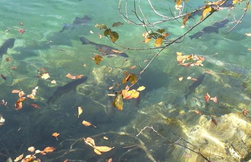 Holiday Home Lana - Foto 57