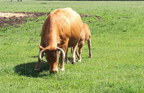 Haus am Moor - Foto 32