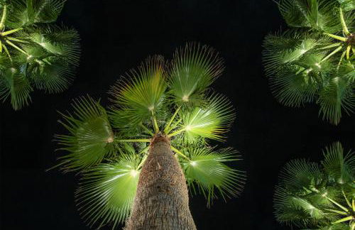 Sea View Hotel & Apartments - Foto 58