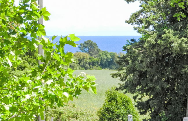 Lup - Les terrasses d'Alistro - Foto 17