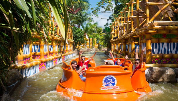 Private Excursions from Bombinhas - Foto 5