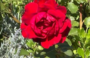 Do 8 osoba 3 sobe 2 terase - Foto 35