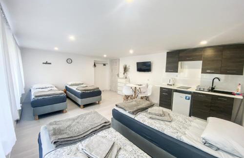 Pokoje gościnne Izeria - Foto 1