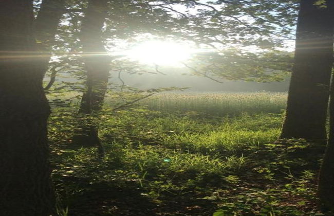 Holiday Lodge in Staphorst With Pool Access - Photo 34