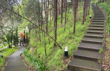 Finca El Lance Zumacal - Foto 19