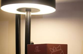 Carmela Homes & Residences - Foto 45