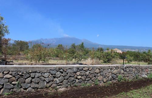 Orto dei Limoni - Foto 19