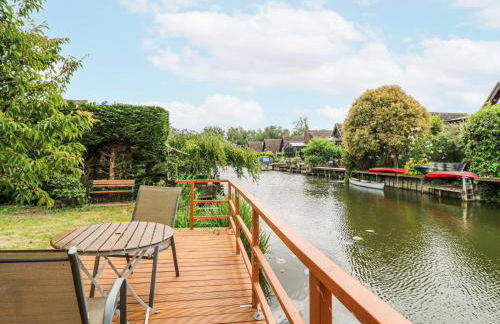 Kingfisher - Photo 31