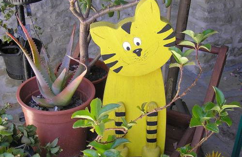 Cascina Curairone - Foto 12