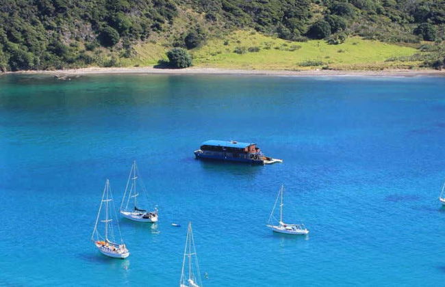 Bay of Islands Boat Trip - Photo 1