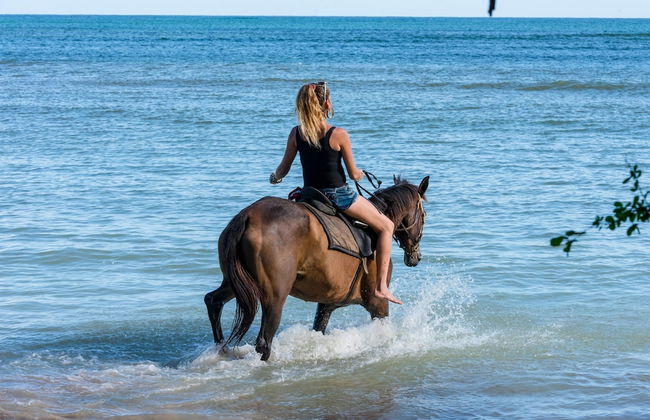 Eco Park Inn - Foto 23