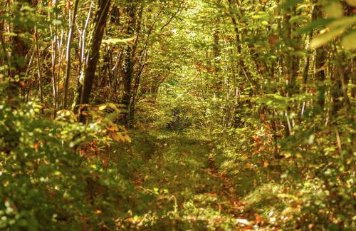 Forest Hideaway in Saint-Caprais - Foto 23