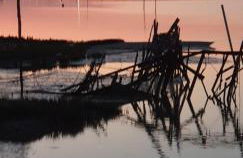 La maison du Petit Pin - Foto 21