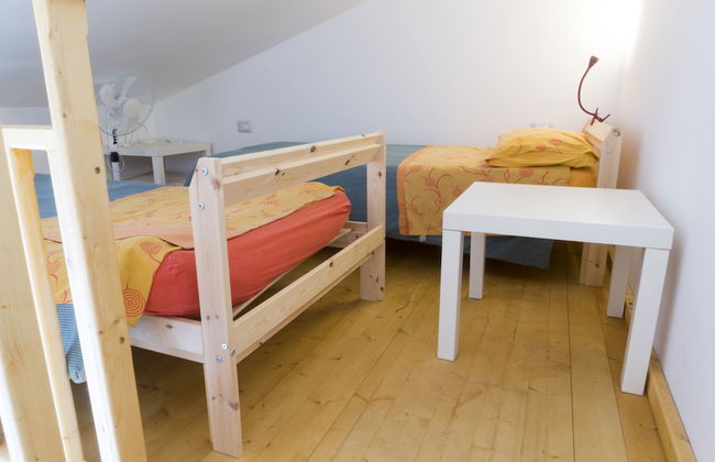 Viola nel Parco - Foto 18